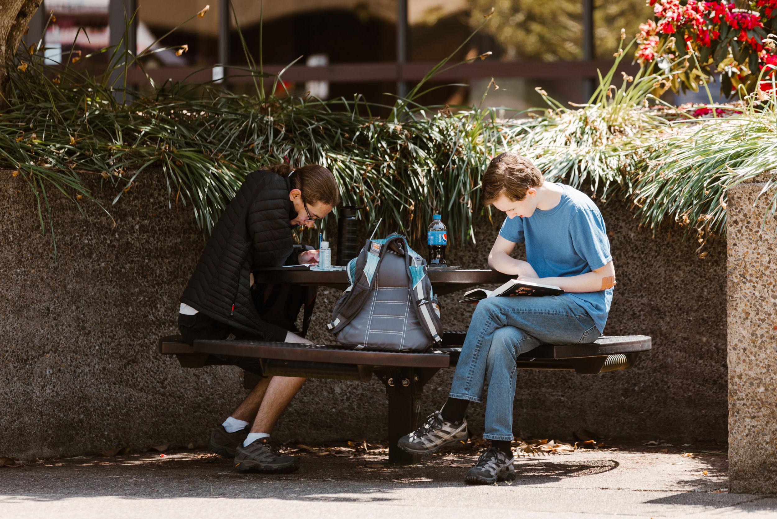 photo of students studying outside